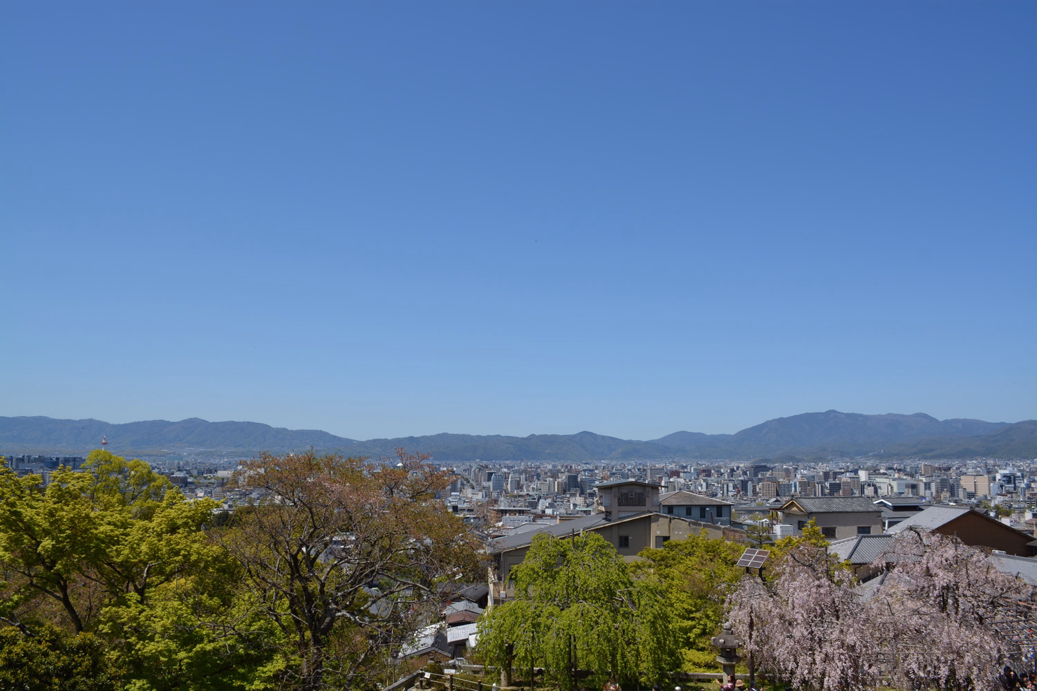 blog